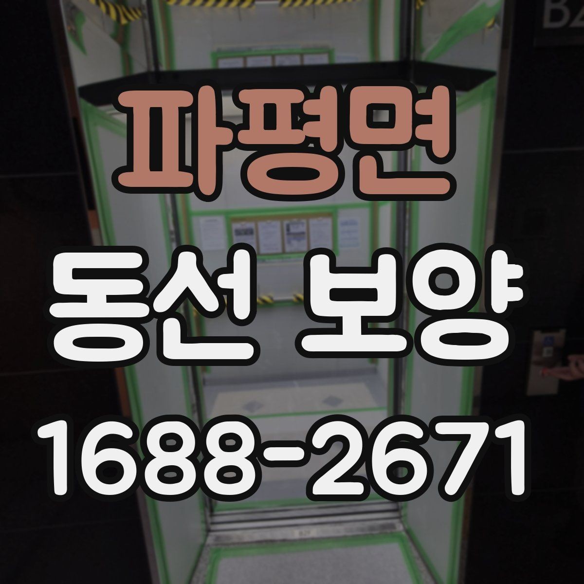 파평면 동선 보양 비용이 달라지는 요소들