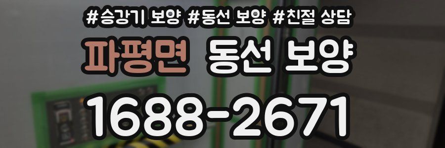 파평면 동선 보양