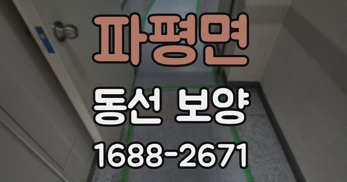 파평면 동선 보양