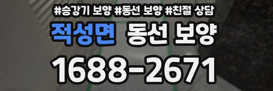 적성면 동선 보양