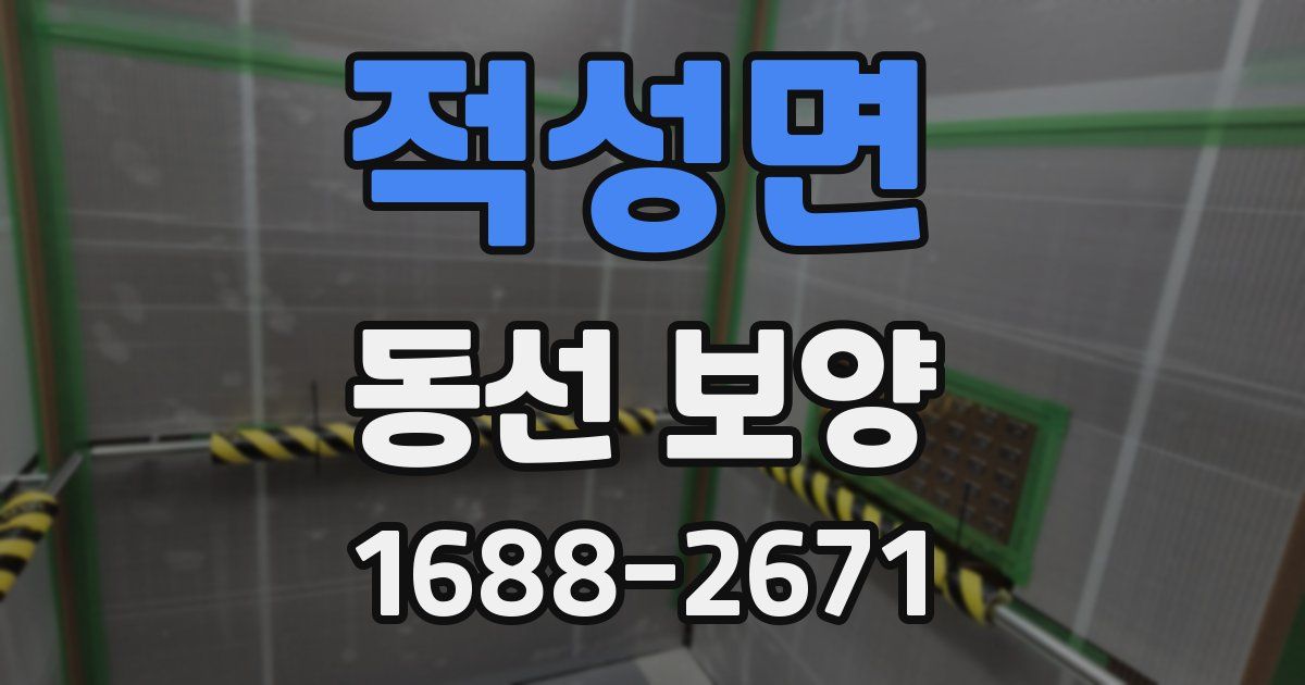 적성면 동선 보양