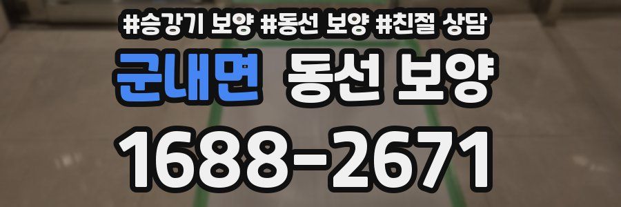 군내면 동선 보양