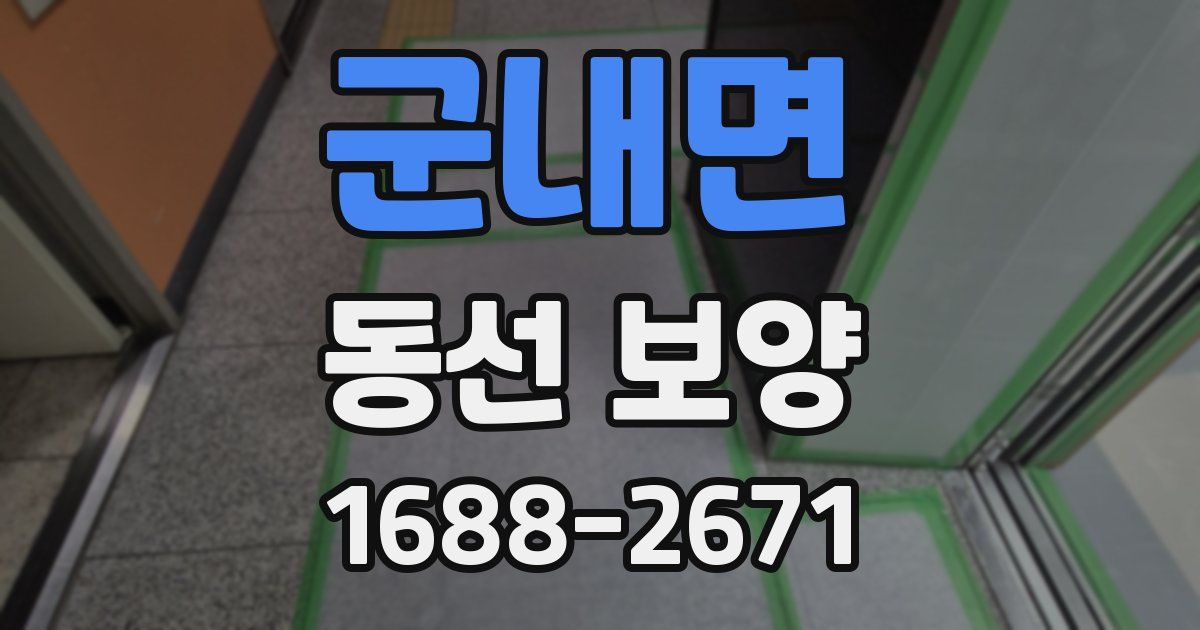 군내면 동선 보양