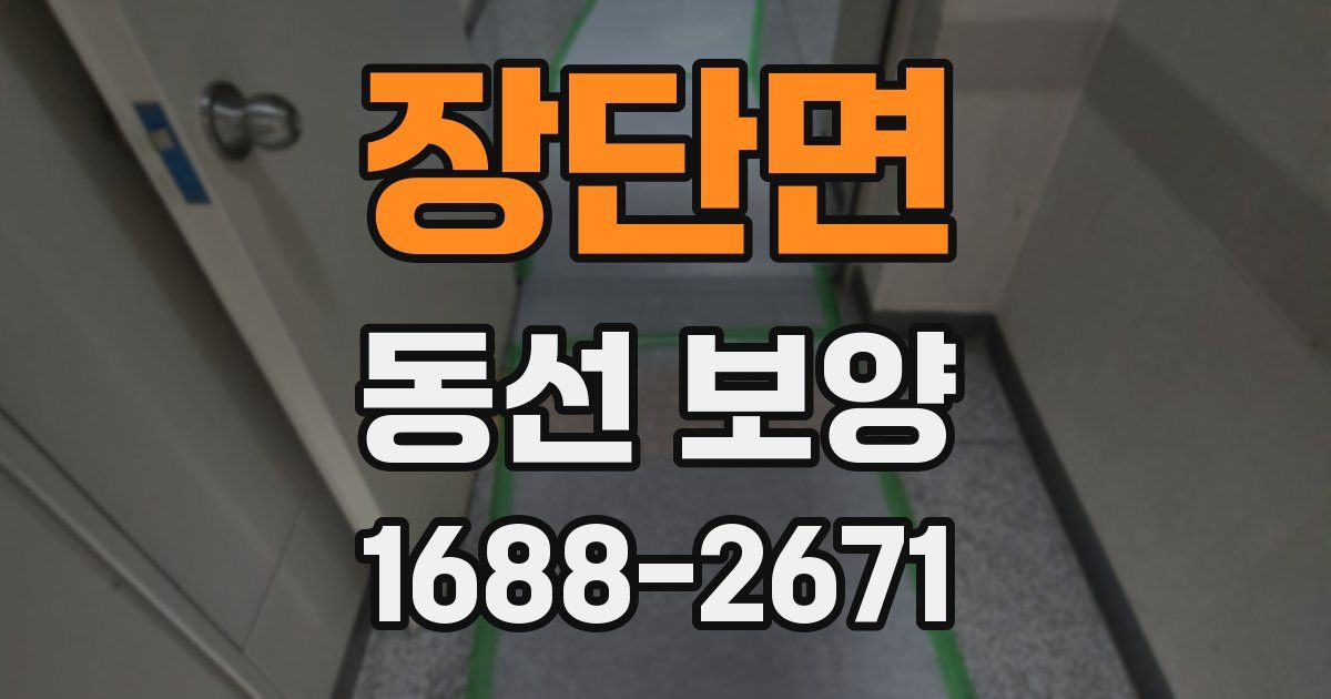 장단면 동선 보양