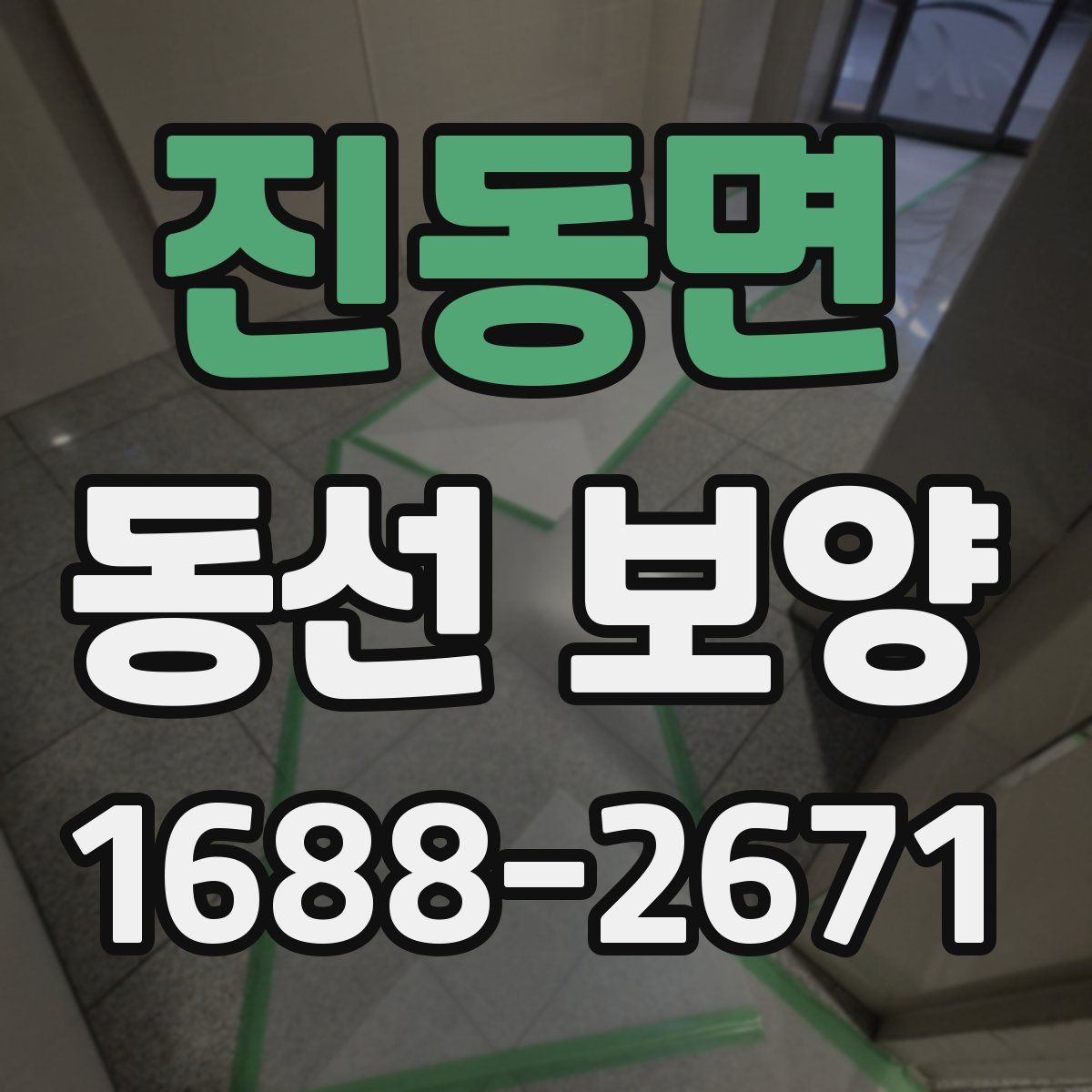 진동면 동선 보양