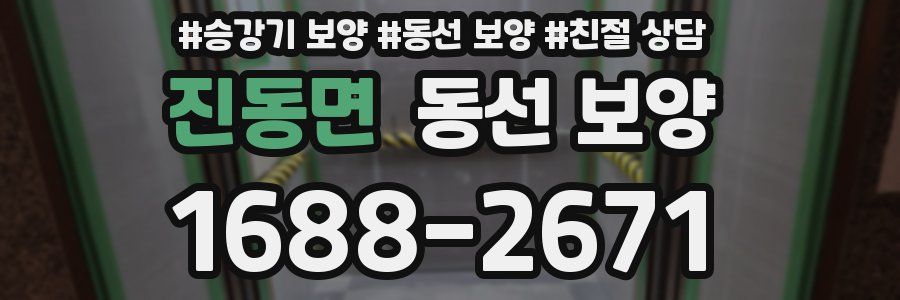 진동면 동선 보양