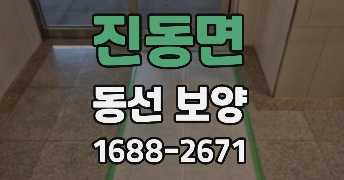진동면 동선 보양