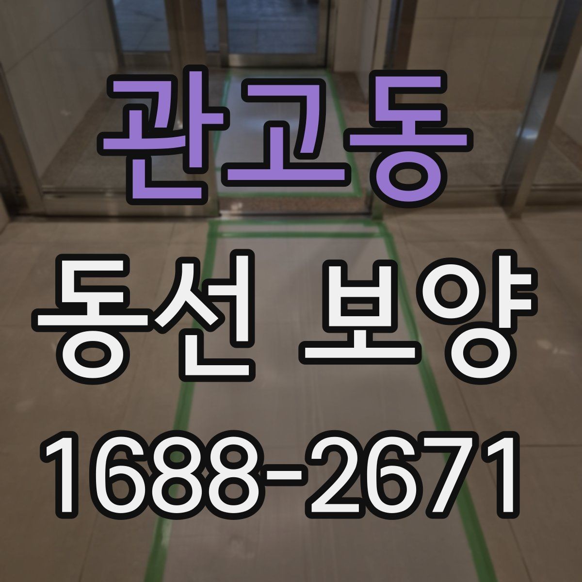 관고동 동선 보양 작업 전 준비물과 점검 항목