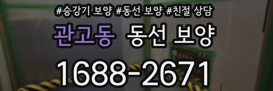 관고동 동선 보양