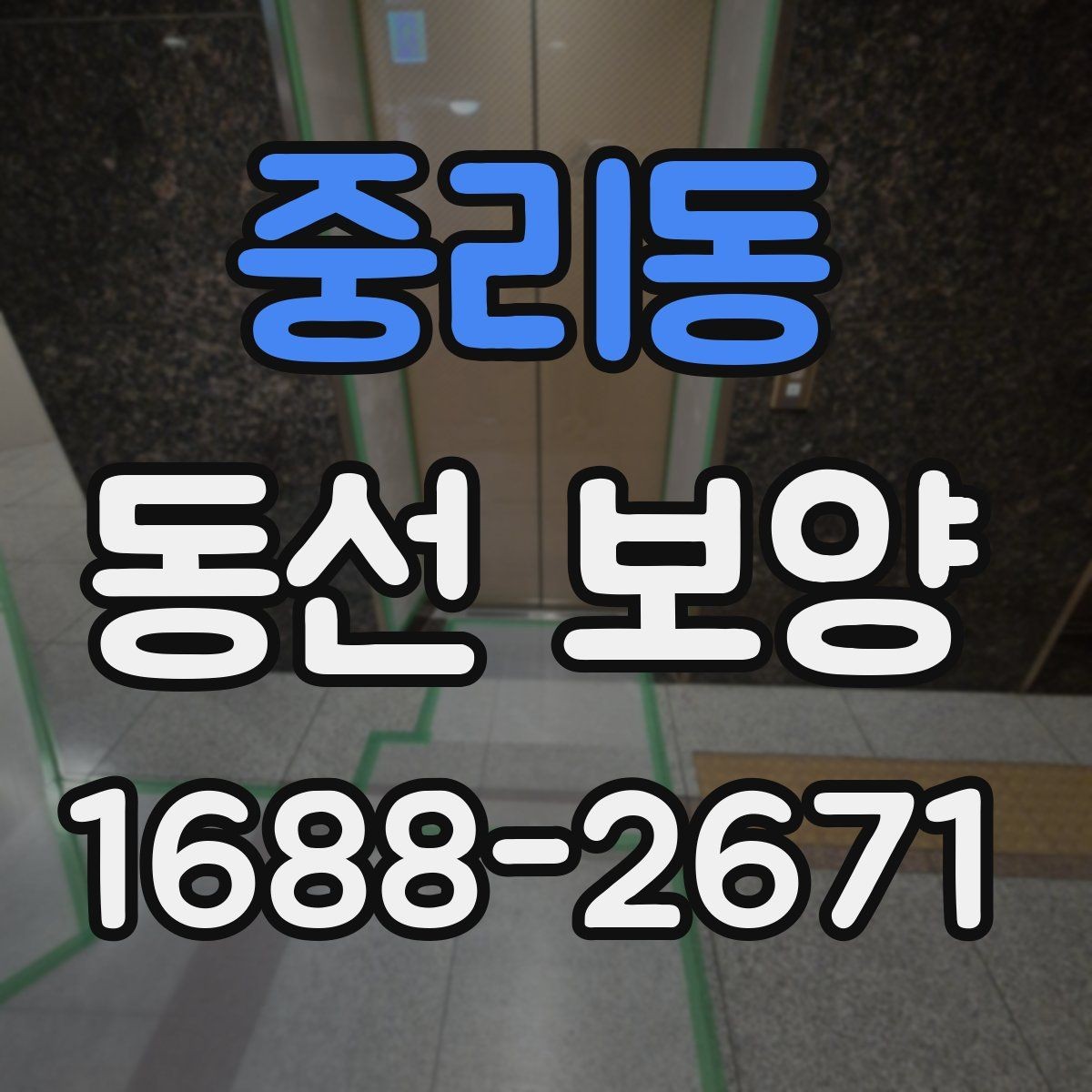 중리동 동선 보양 후 마감 상태 점검 포인트