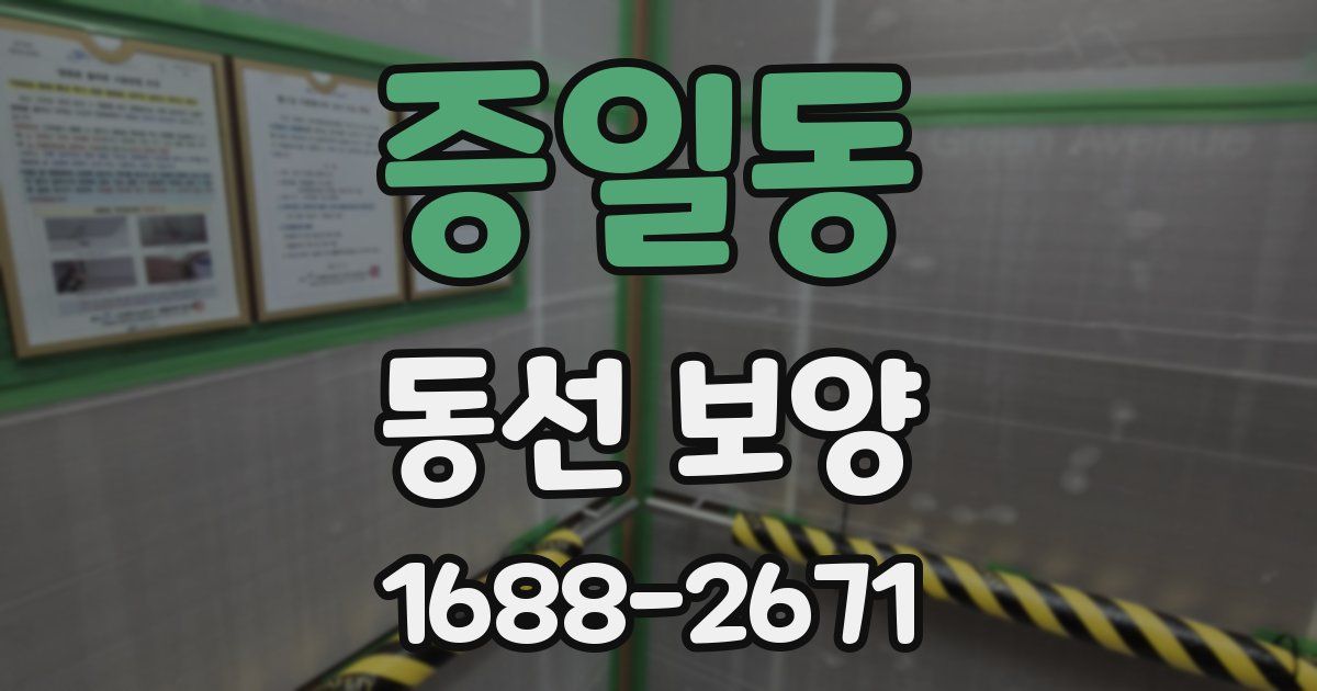 증일동 동선 보양