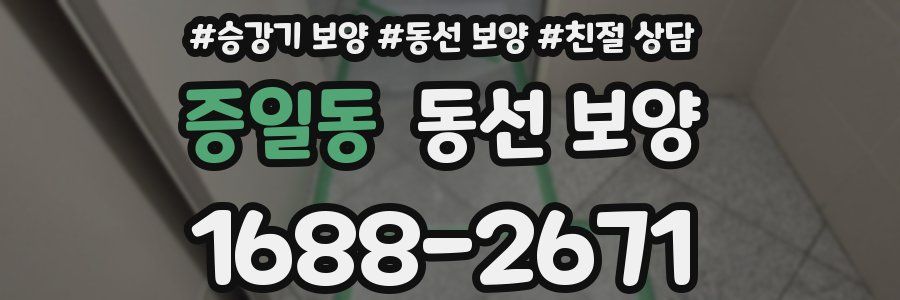 증일동 동선 보양
