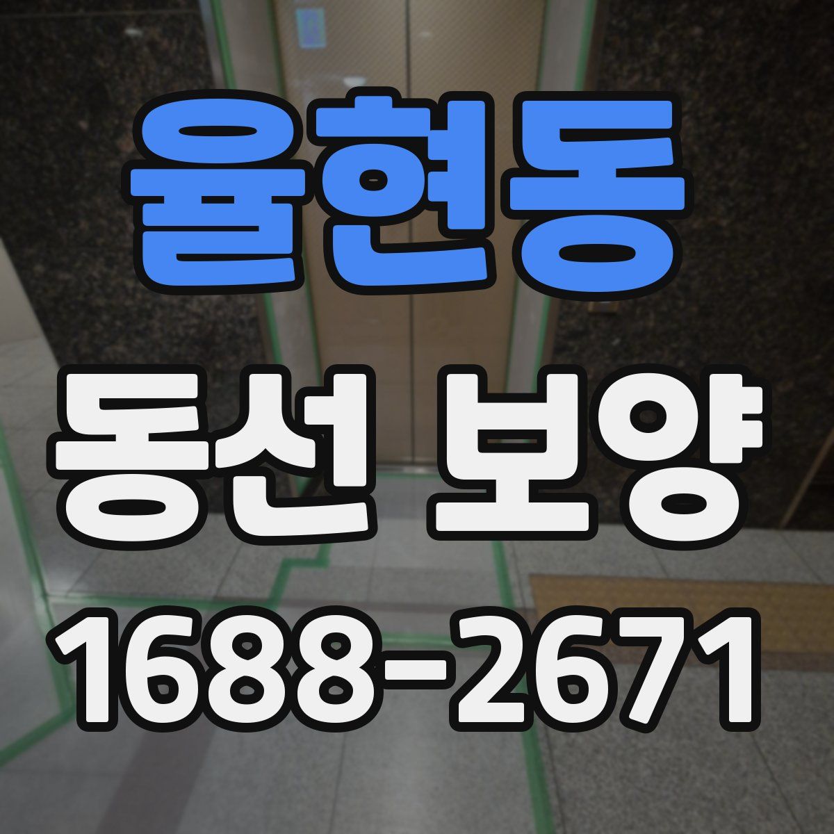 율현동 동선 보양