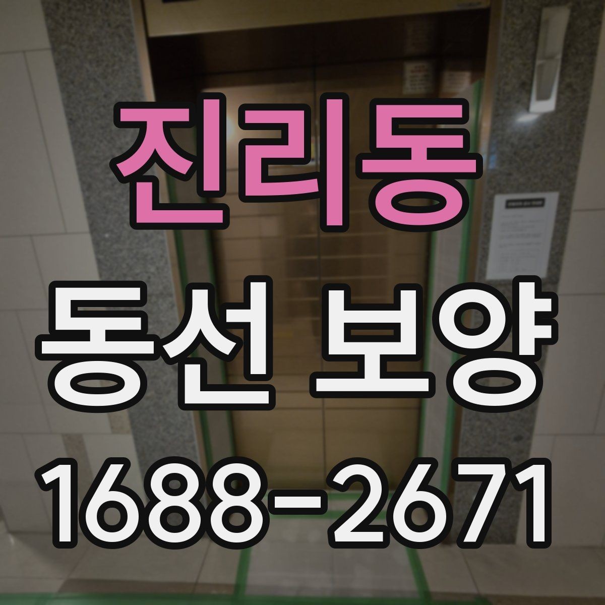 진리동 동선 보양 관련 문의 전 준비하면 좋은 정보