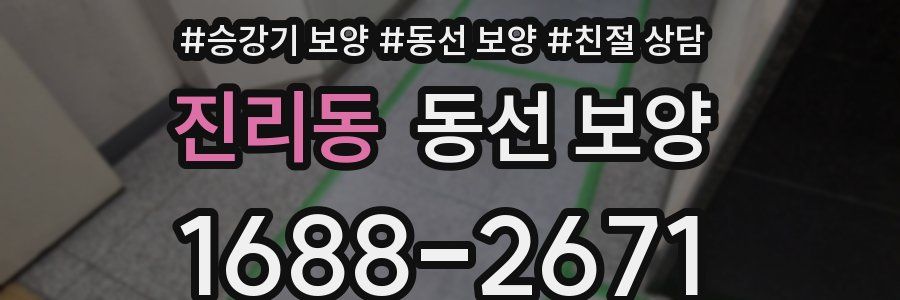 진리동 동선 보양
