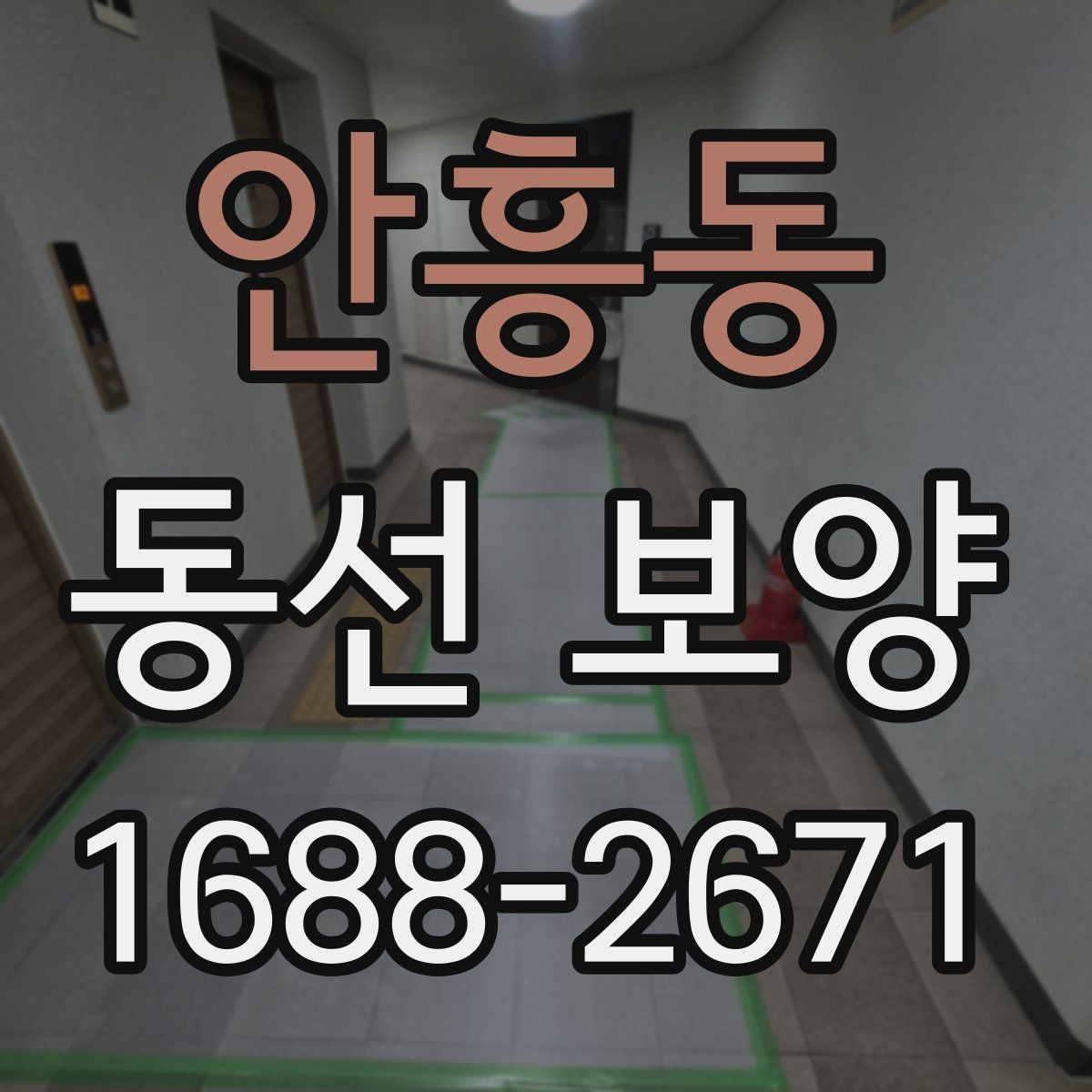 안흥동 동선 보양 작업 전 환경 정리와 준비 요령
