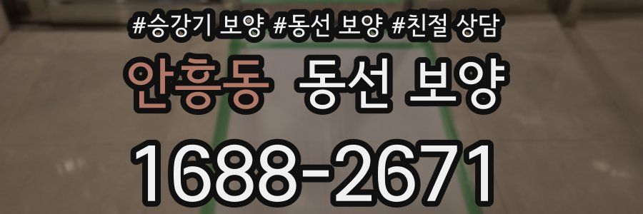 안흥동 동선 보양