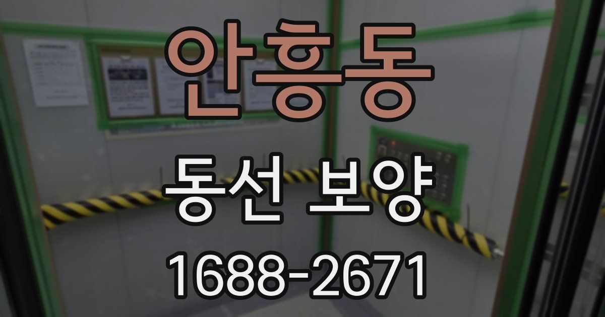 안흥동 동선 보양