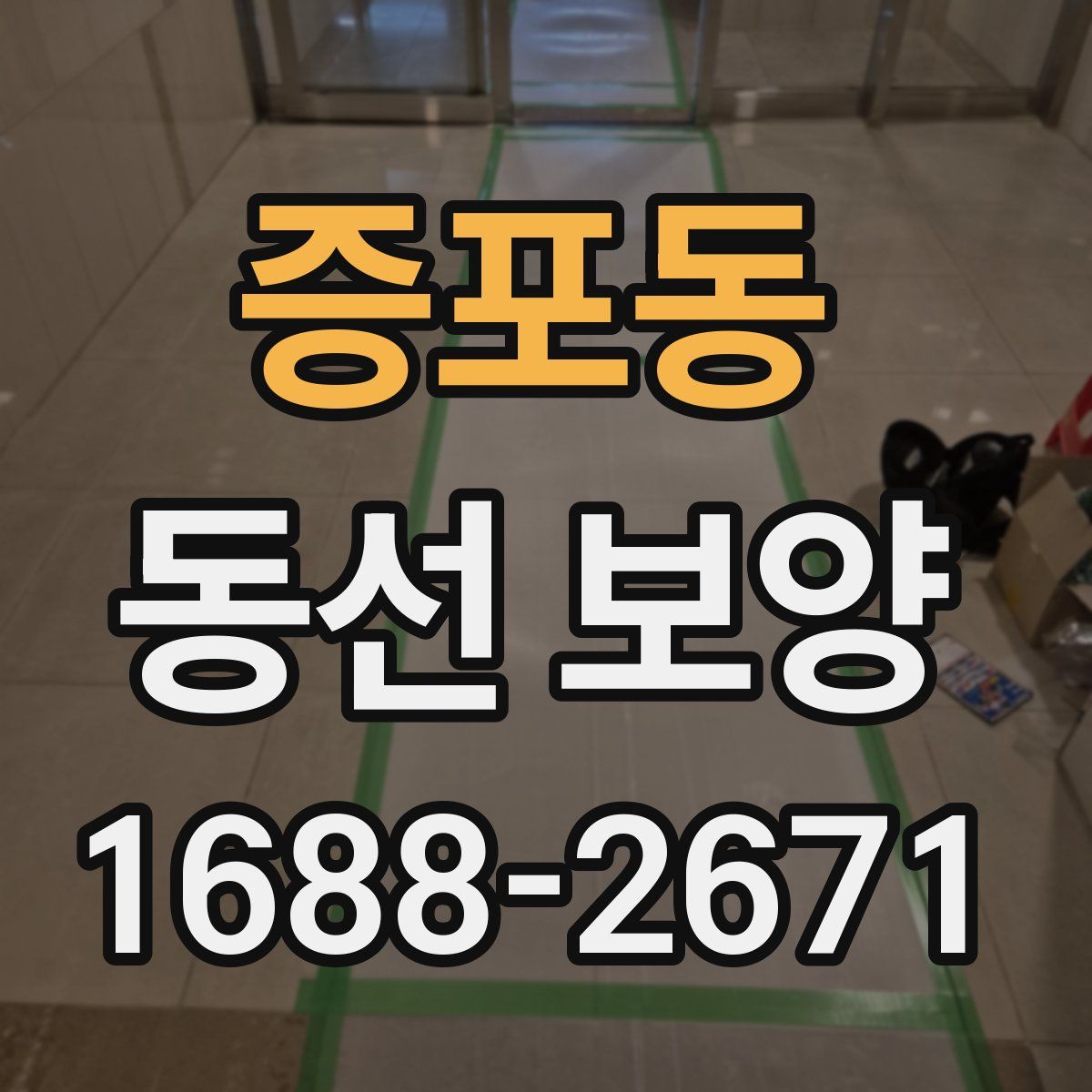 증포동 동선 보양