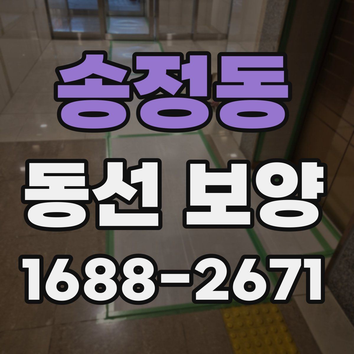 송정동 동선 보양 현장에 맞춘 보호 대책 세우기