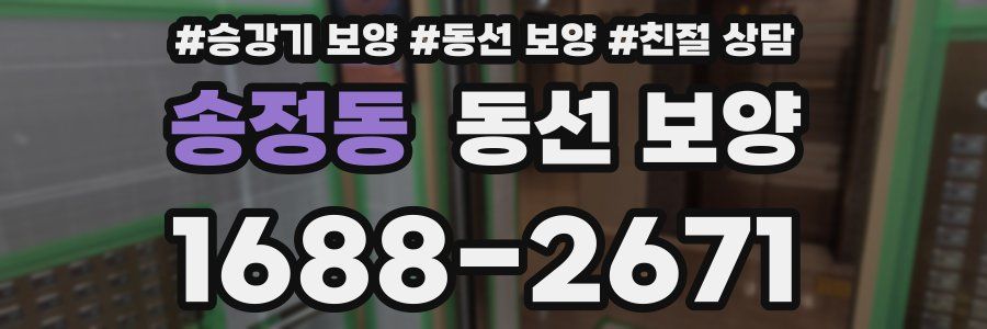송정동 동선 보양