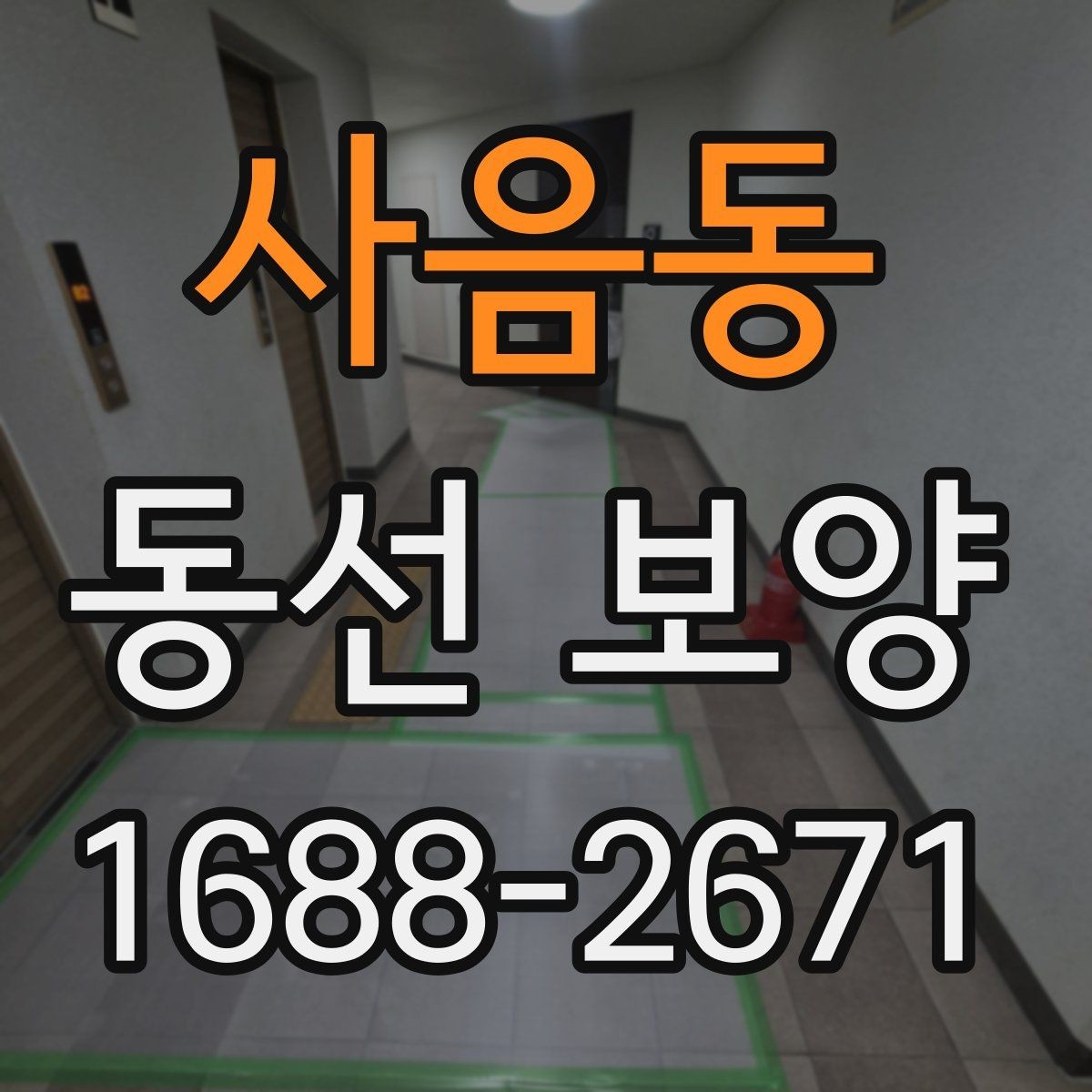 사음동 동선 보양 작업에서 흔히 발생하는 문제