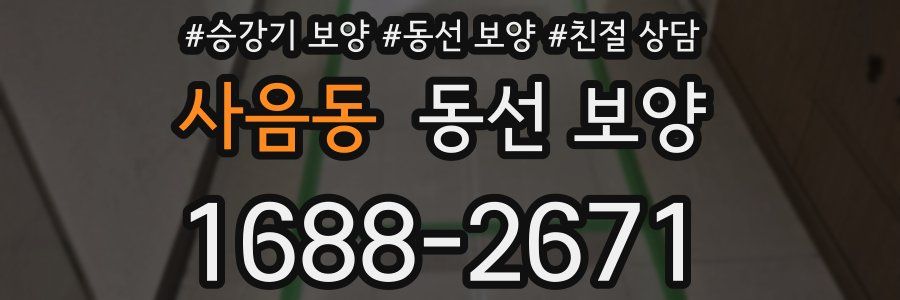 사음동 동선 보양