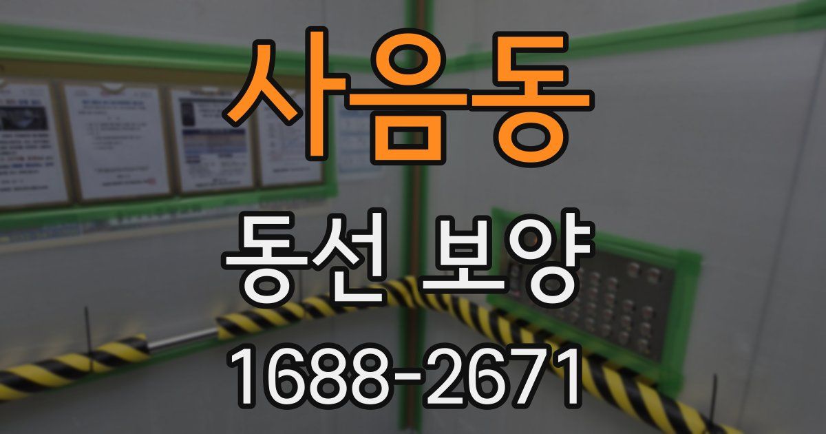 사음동 동선 보양