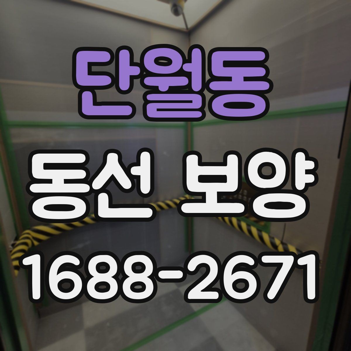 단월동 동선 보양 자재를 바꿨을 때 달라지는 점