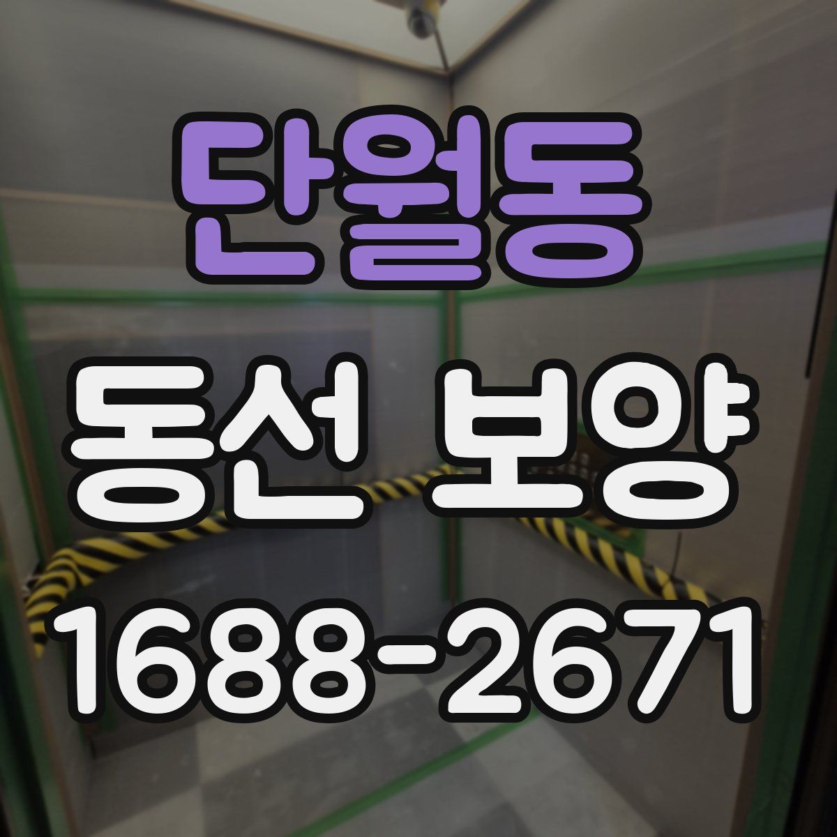 단월동 동선 보양