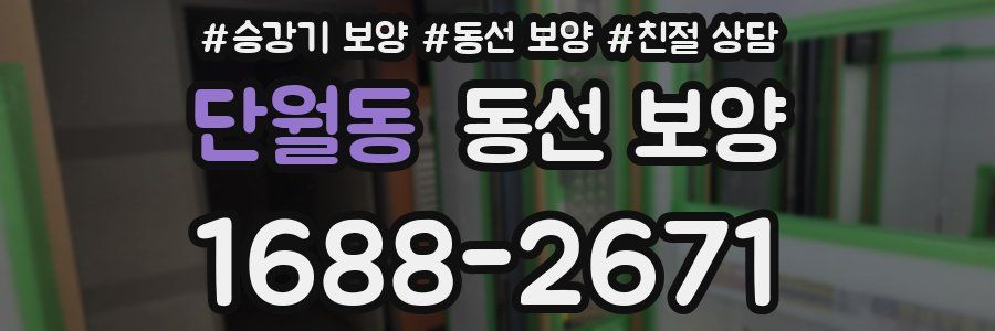 단월동 동선 보양