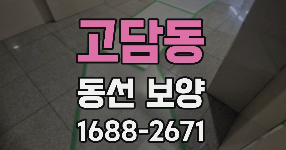 고담동 동선 보양