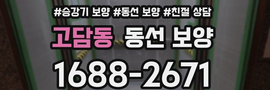 고담동 동선 보양
