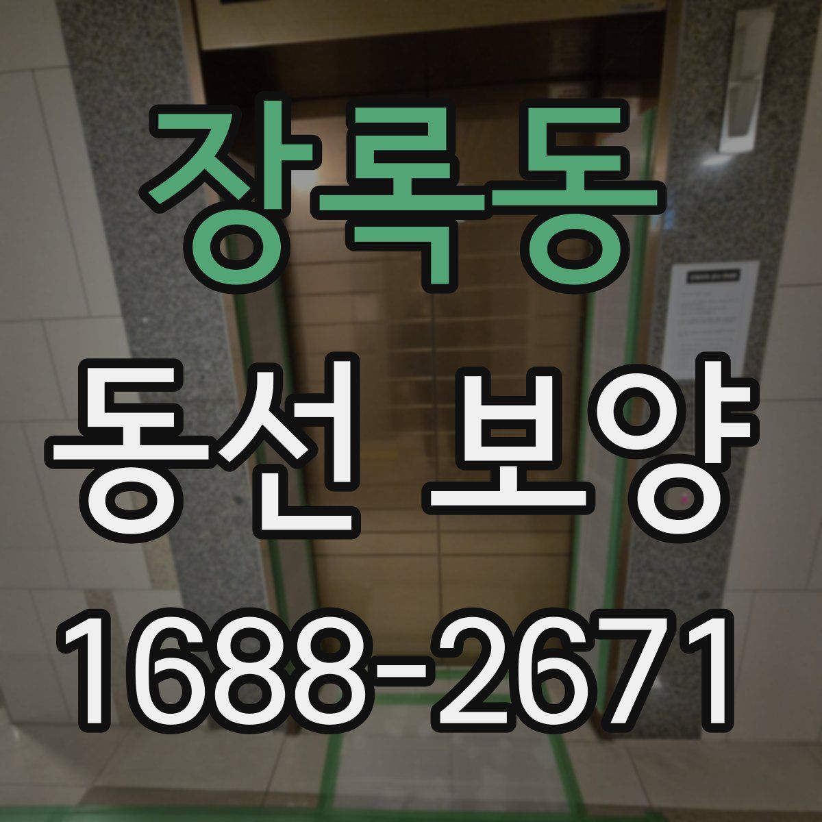 장록동 동선 보양