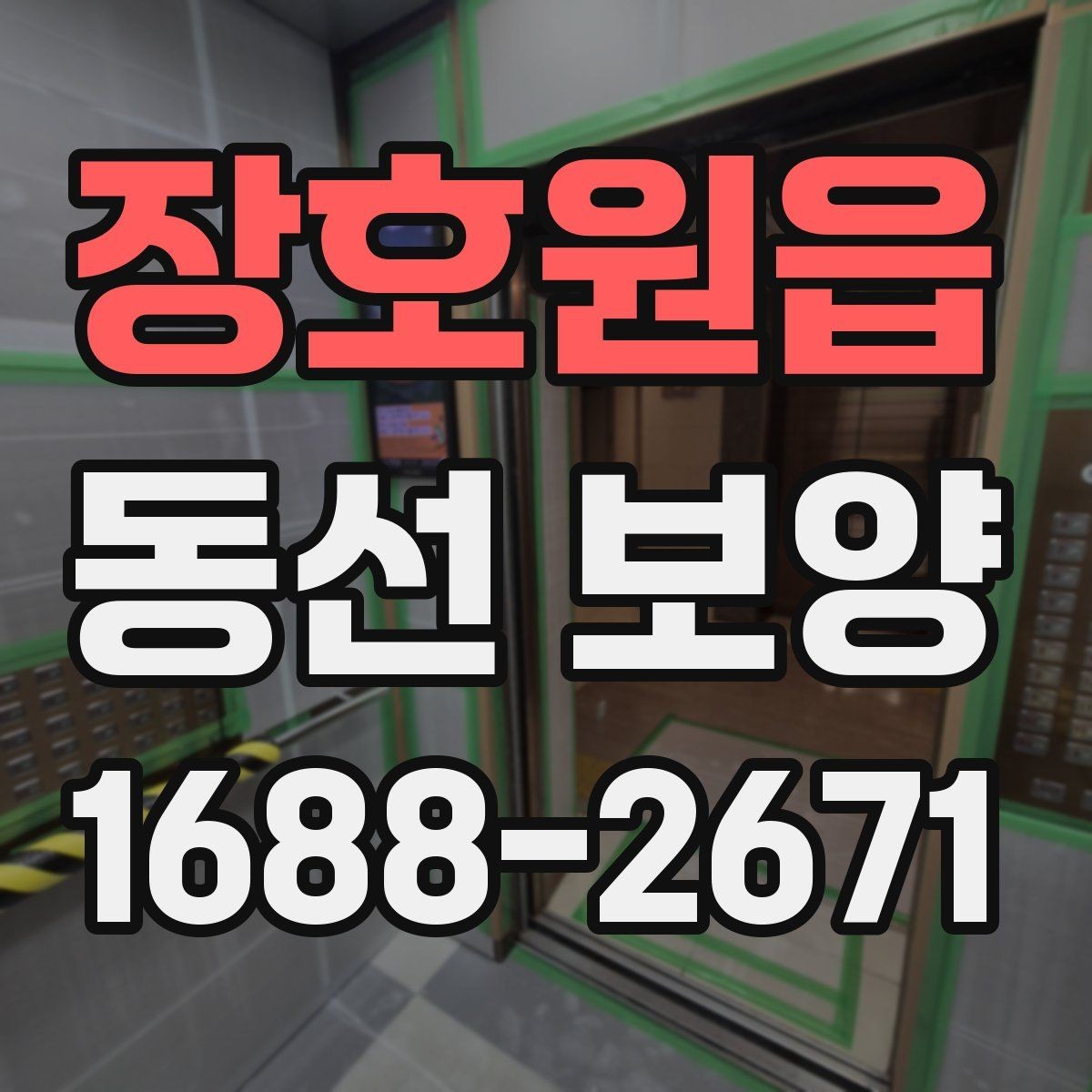 장호원읍 동선 보양 작업에서 마감재 보호가 중요한 이유