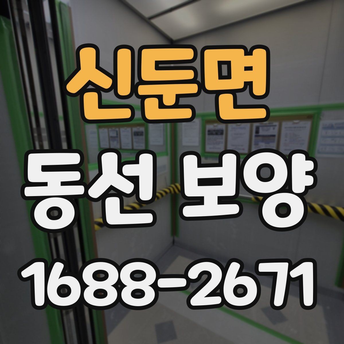 신둔면 동선 보양 적용 범위를 정하는 기준