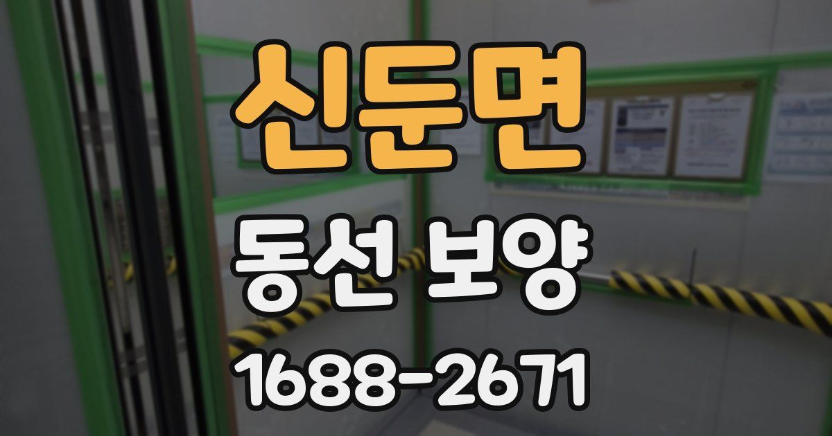 신둔면 동선 보양