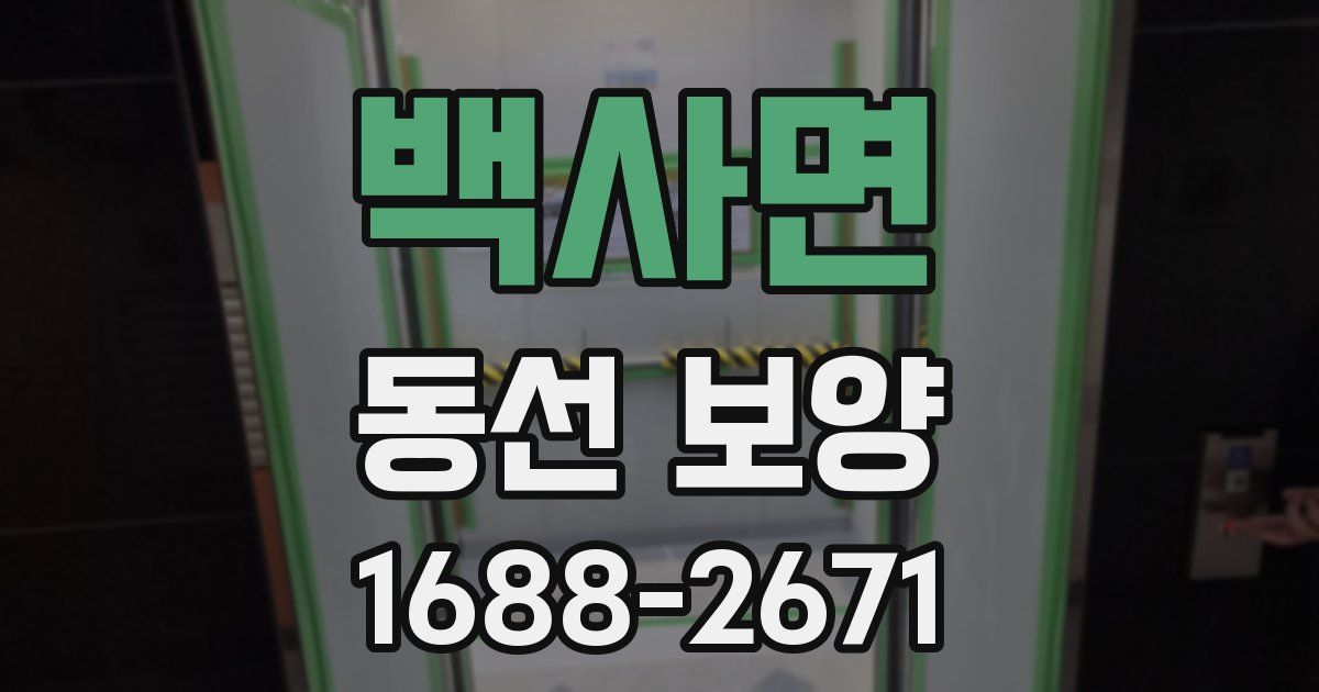 백사면 동선 보양