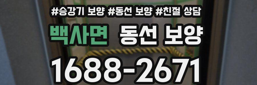 백사면 동선 보양
