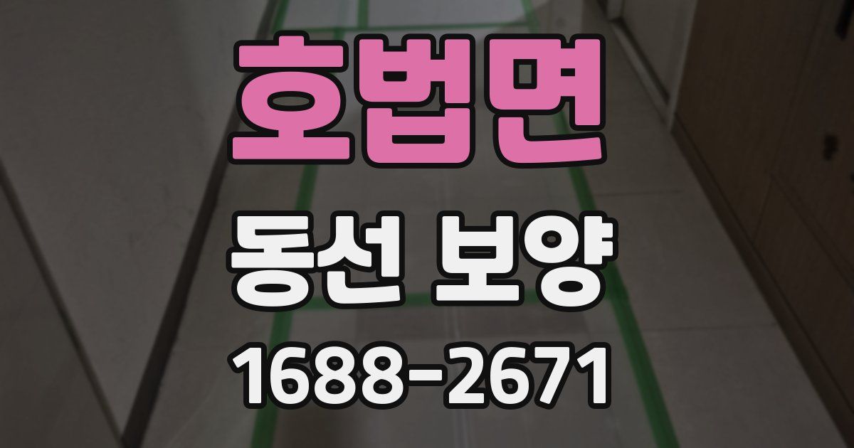호법면 동선 보양