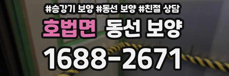호법면 동선 보양