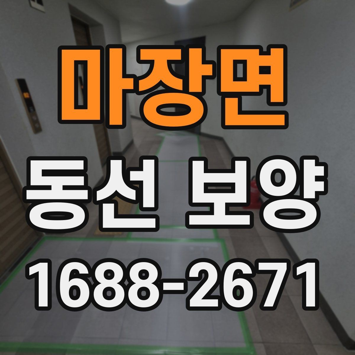 마장면 동선 보양 작업 전후로 비교해 보는 변화