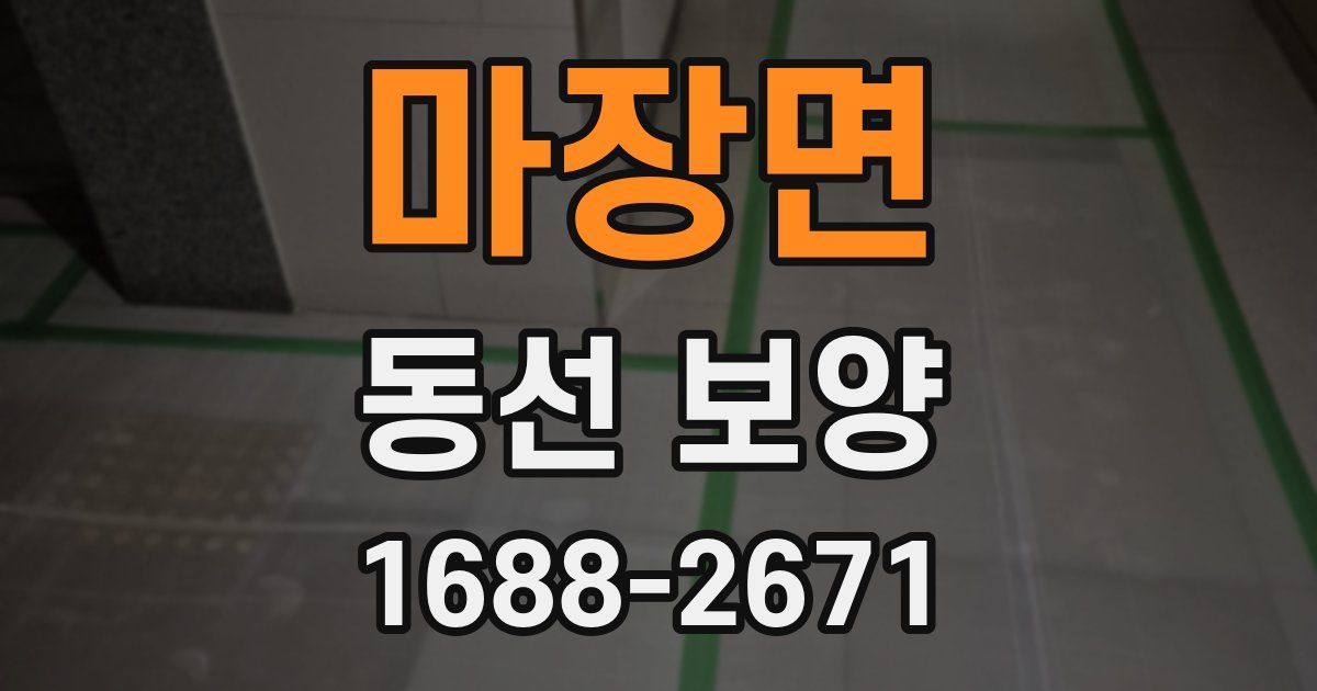 마장면 동선 보양
