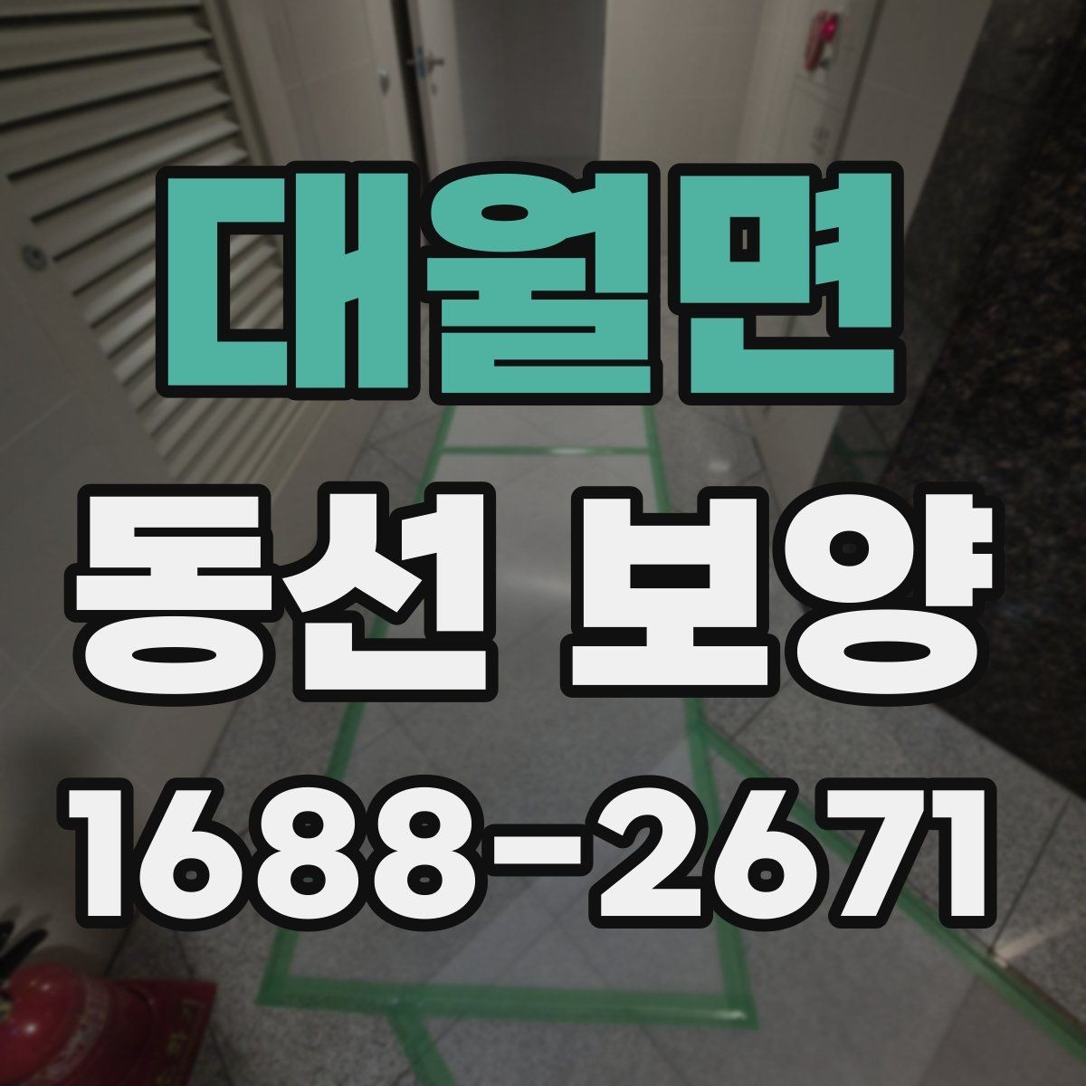 대월면 동선 보양 선택 전 확인하면 좋은 기준