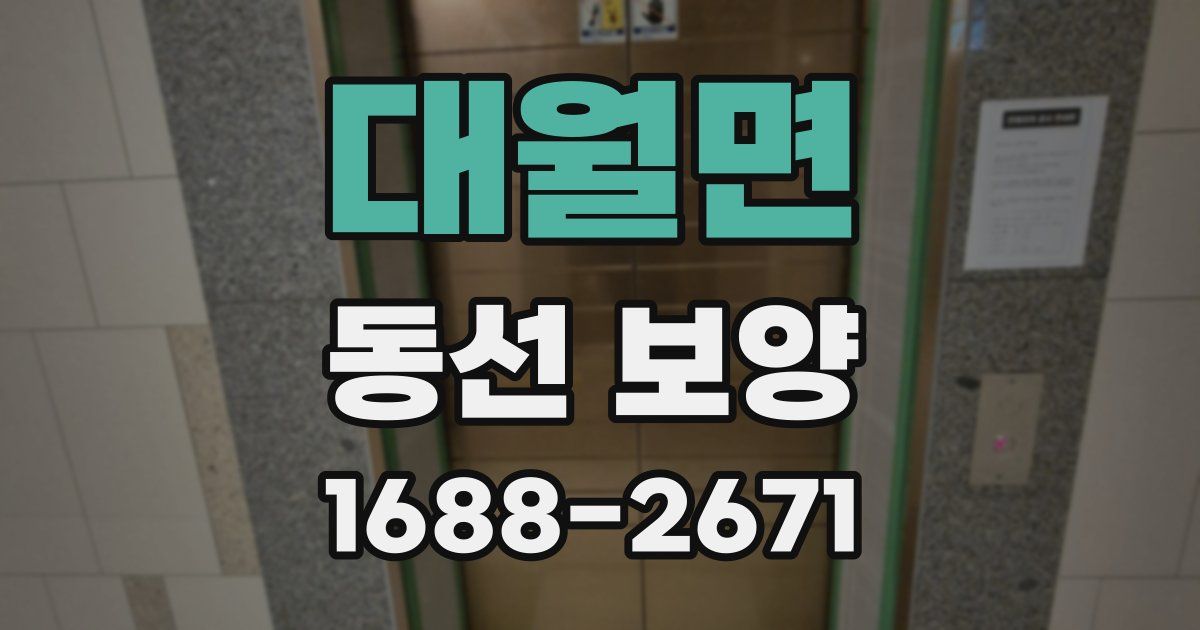 대월면 동선 보양