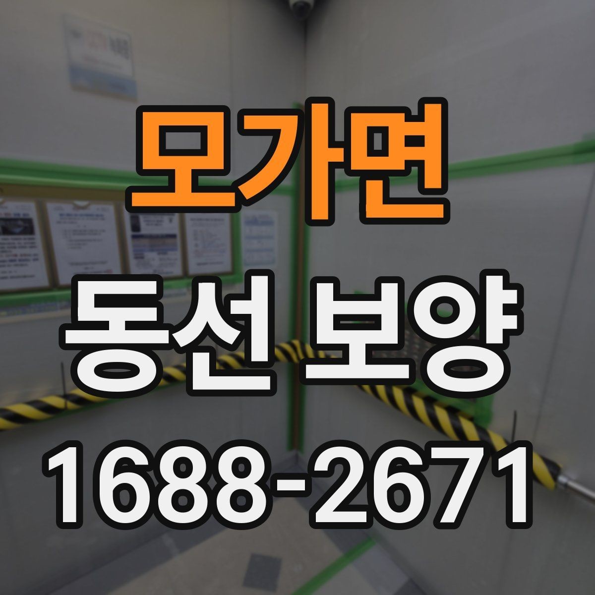 모가면 동선 보양 후 정리까지 고려해야 하는 이유
