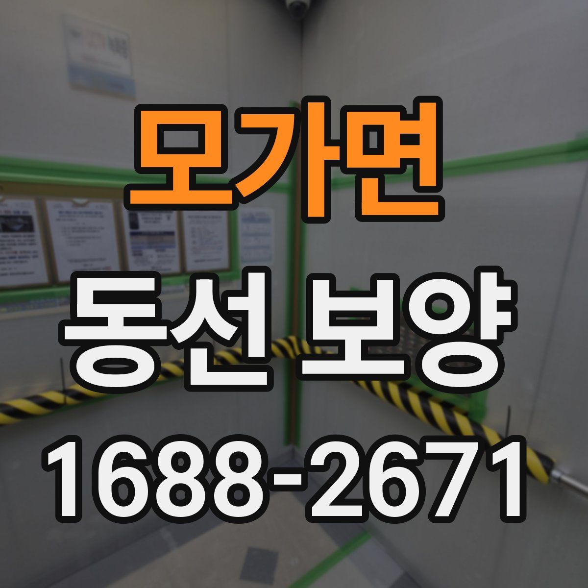 모가면 동선 보양