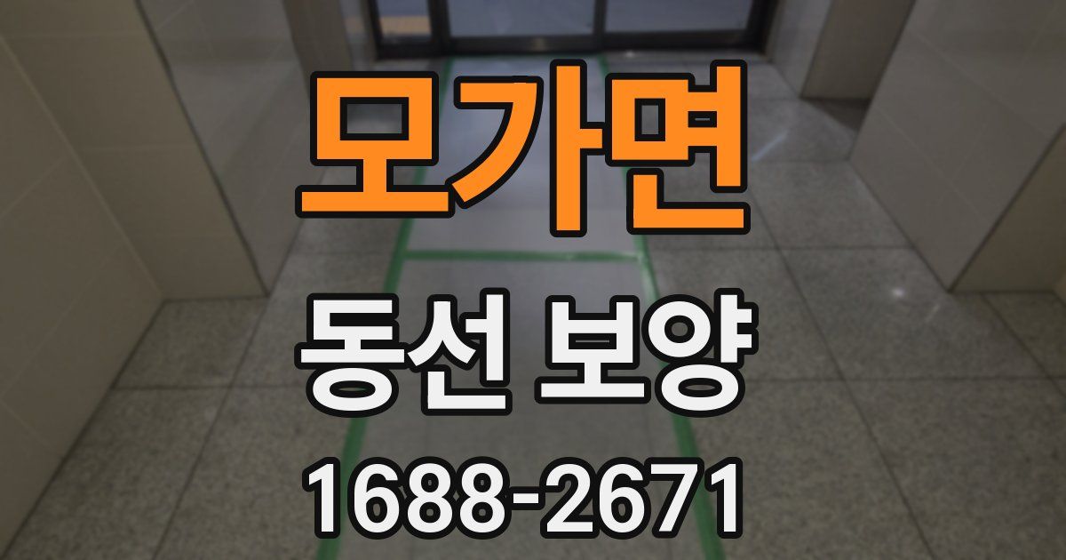 모가면 동선 보양
