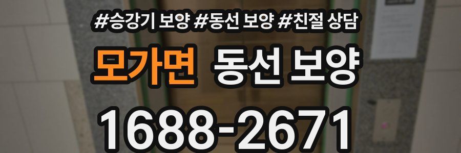 모가면 동선 보양