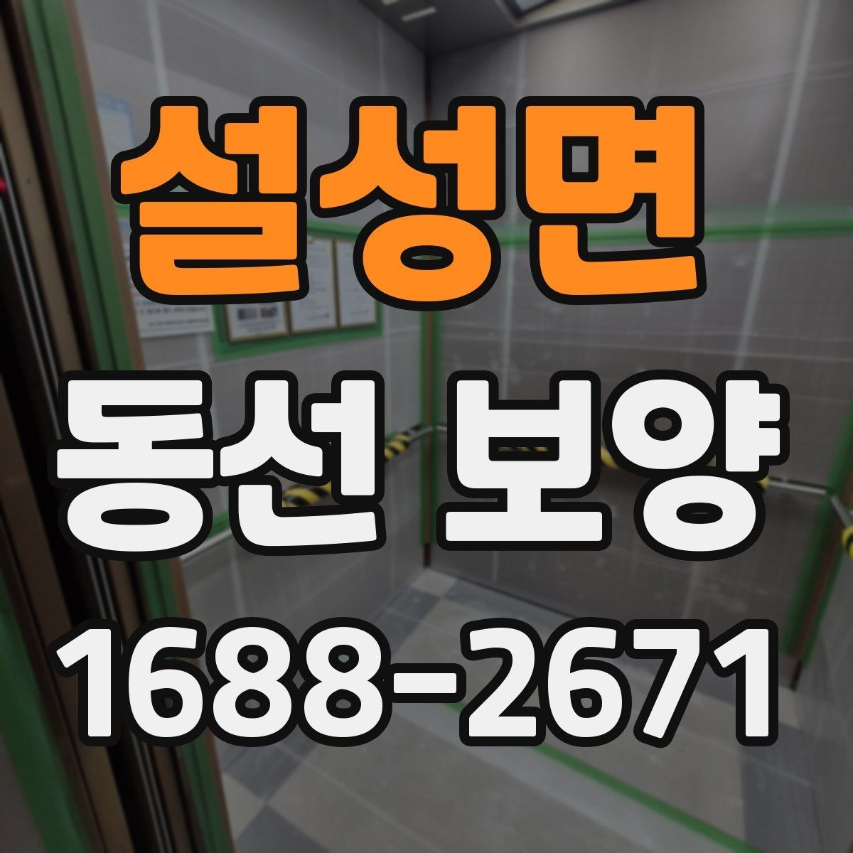 설성면 동선 보양 작업에서 품질 차이를 만드는 요인